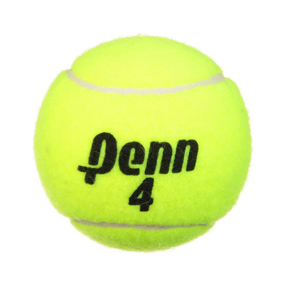 Championship Extra Duty High-Altitude Tennis Ball Can (3 Balls)